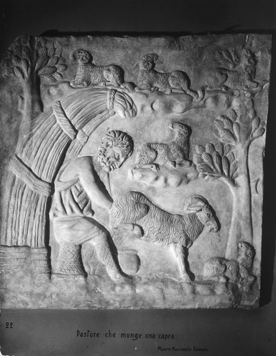 Shepherd milking a goat (detail) by Roman Roman